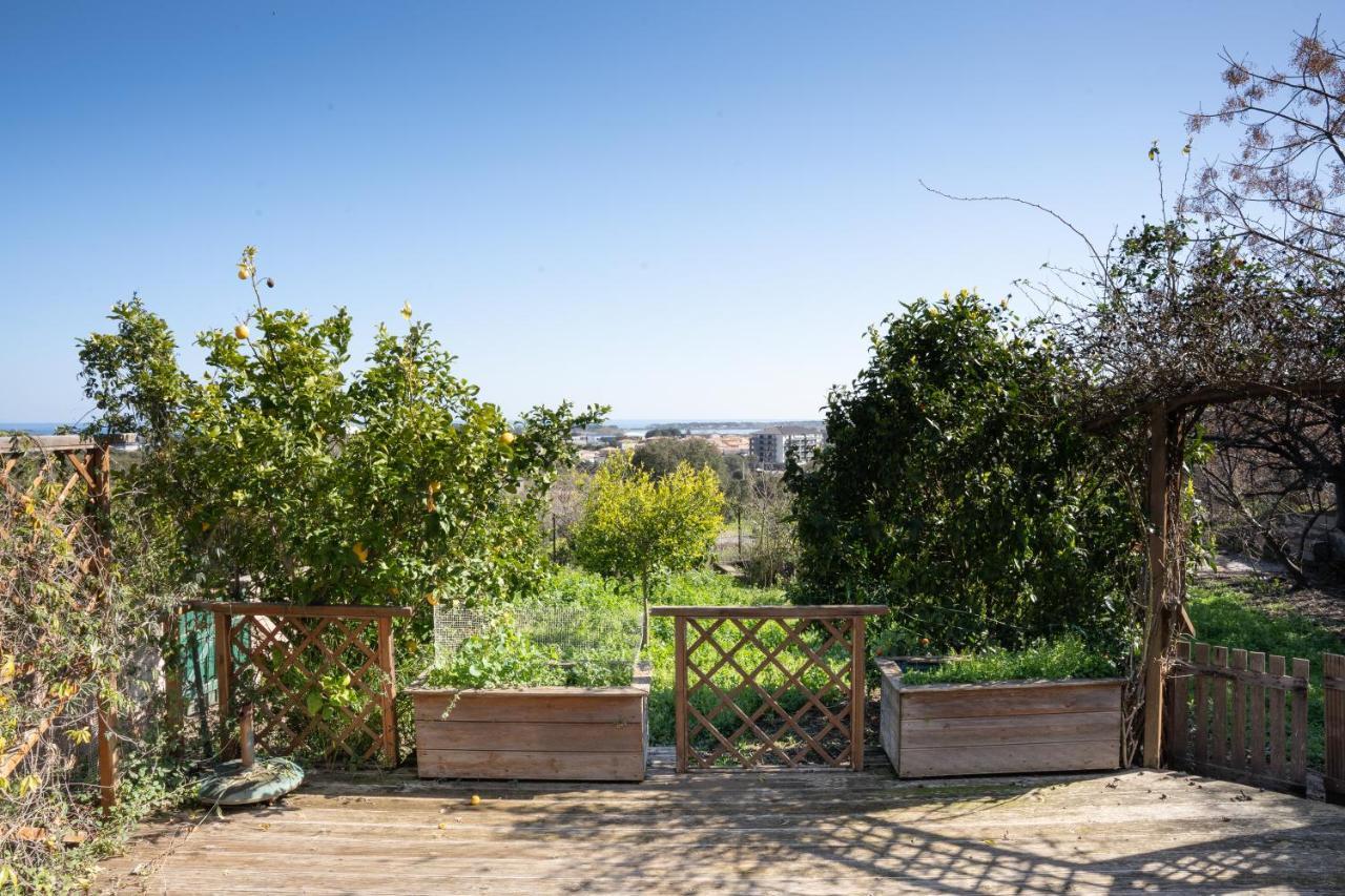 Apartamento Corsica Fiurita Furiani Exterior foto